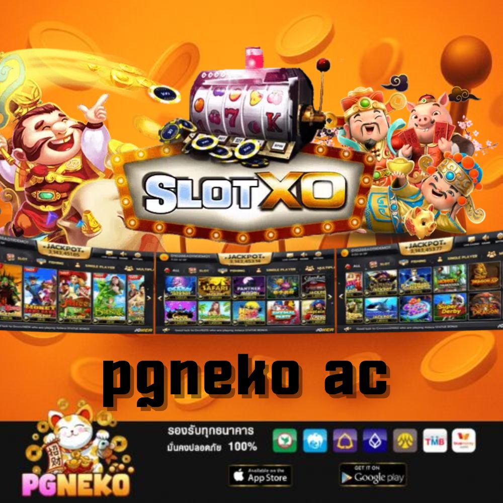 pgneko ac