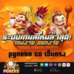 pgneko co เว็บตรง